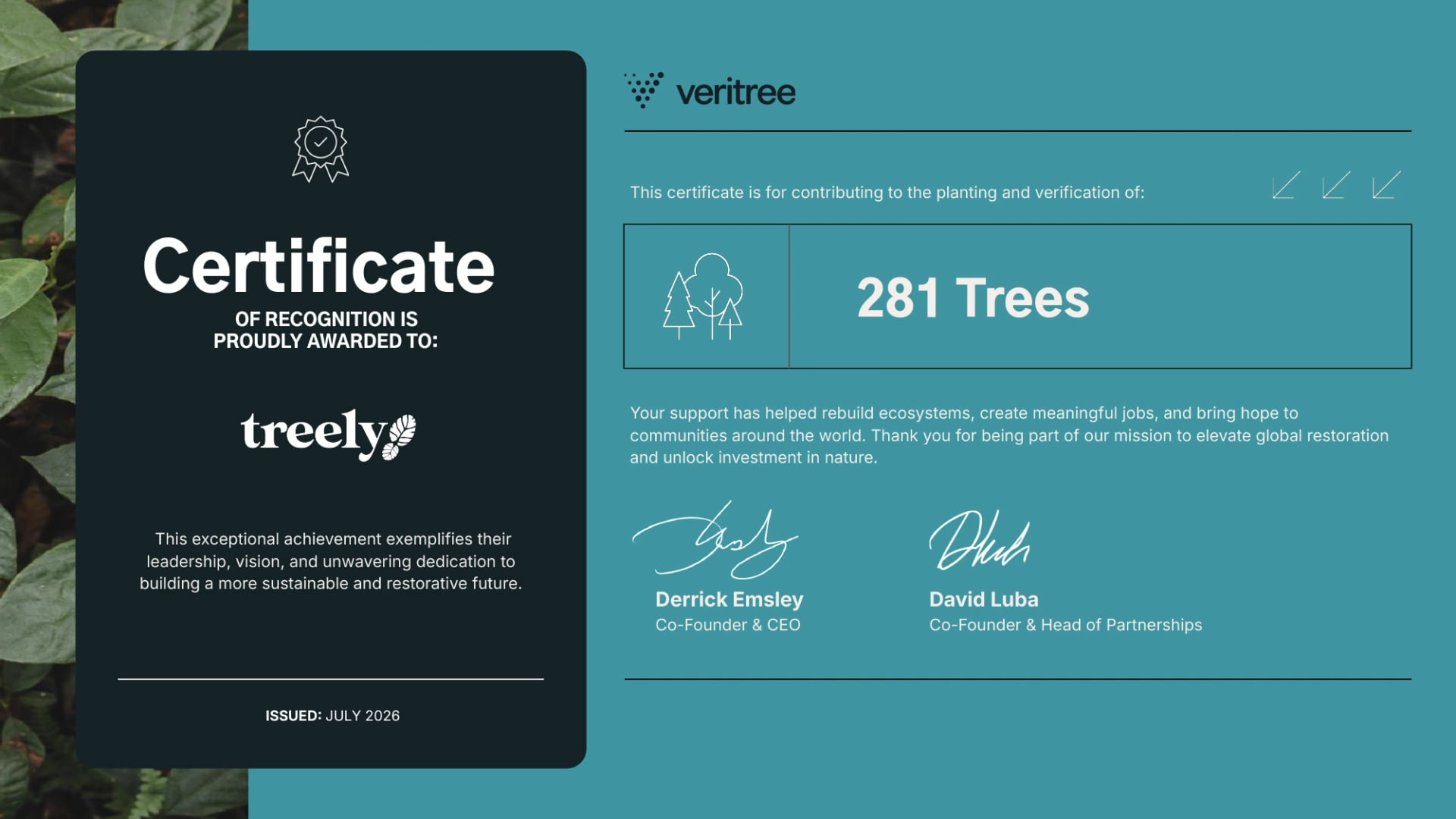 Certificat Veritree attestant la plantation et la vérification de 281 arbres, émis en juillet 2026