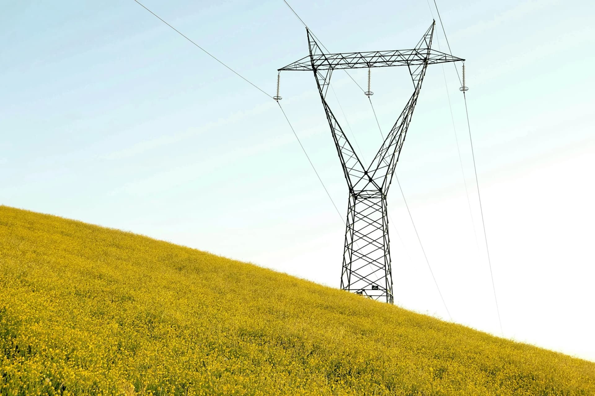 Ligne haute tension traversant un champ de colza